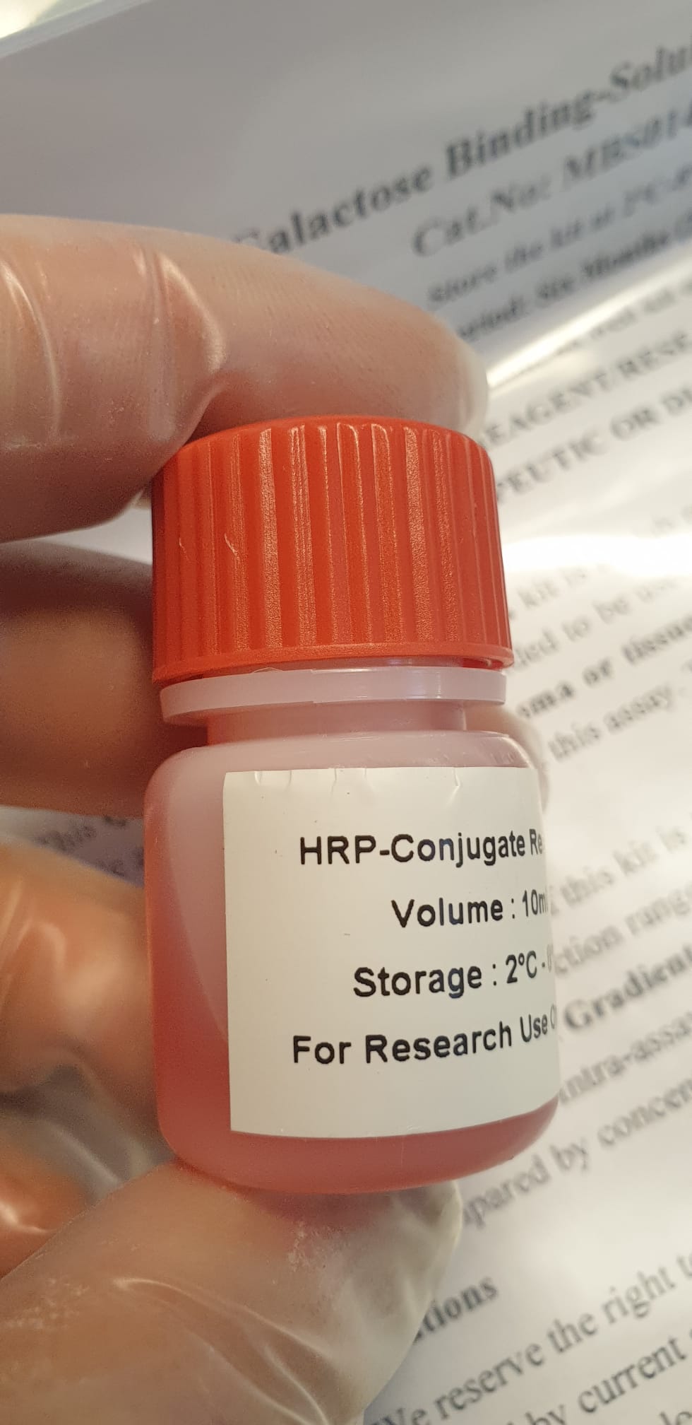 HRP Conjugate Reagent