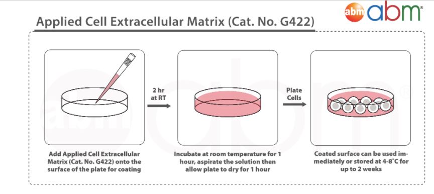 applied cell extracellular matrix abm