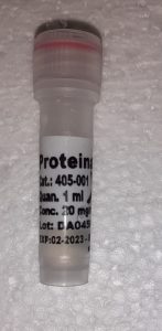 teitell-lab